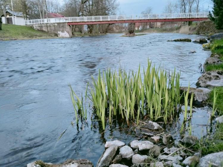 Lossi 8 -4 Poltsamaa Maida Exteriör bild